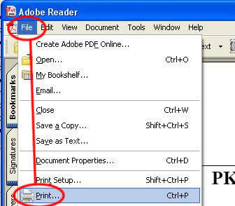 print instructions