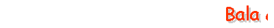 bdmc banner
