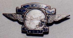 Lapel badge