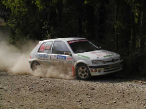 Rees and Hall in action